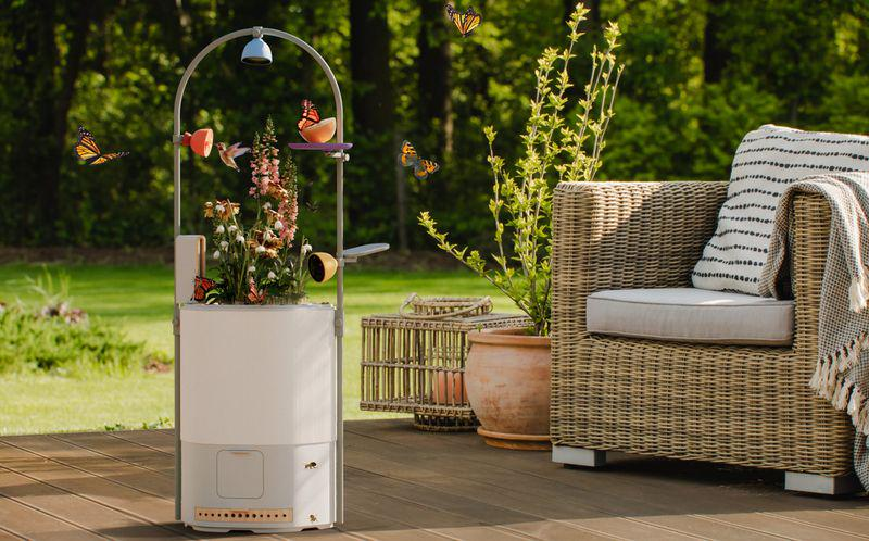 图片[6]-给鸟拍照，凭什么能赚到上千万美元？-AI Express News