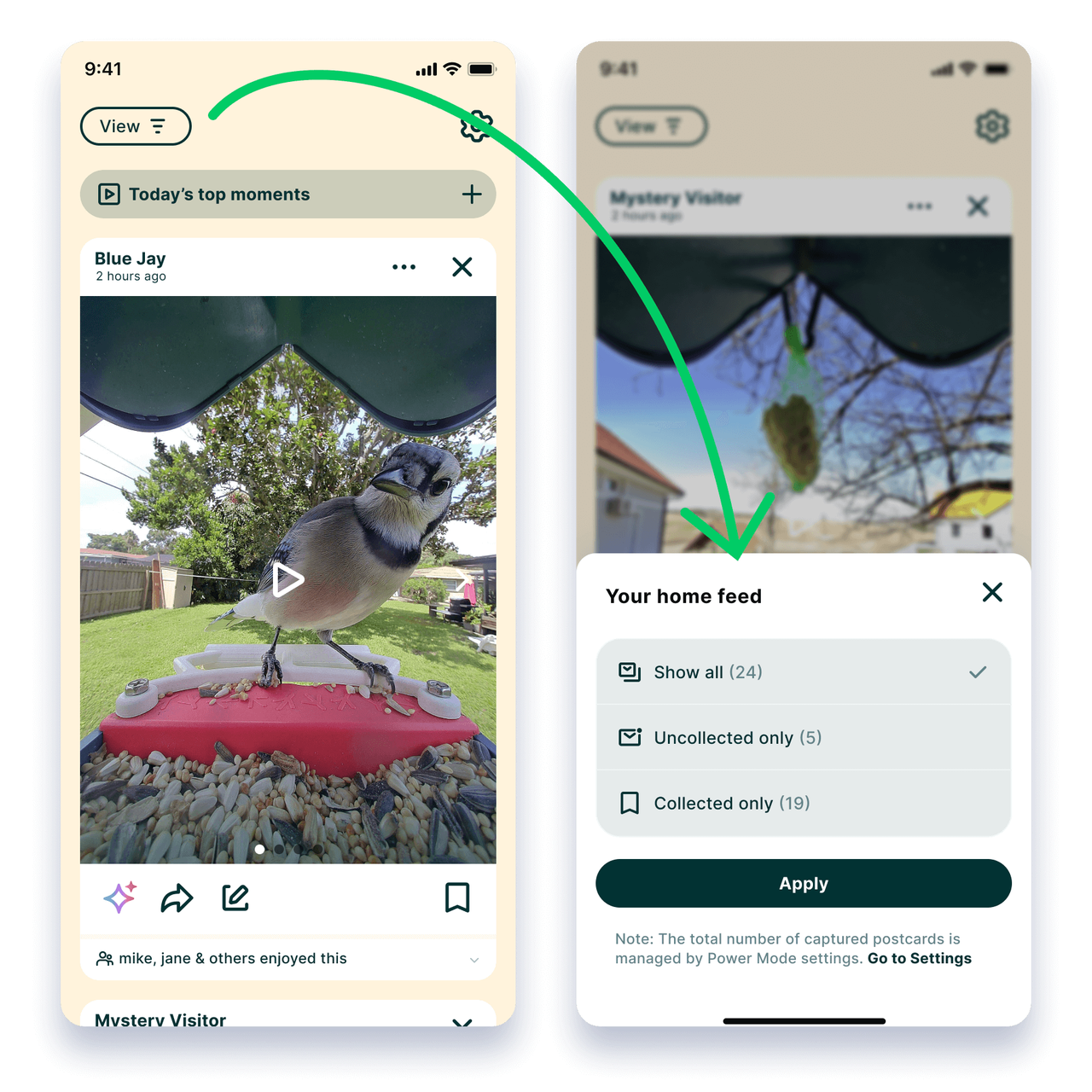 图片[7]-给鸟拍照，凭什么能赚到上千万美元？-AI Express News