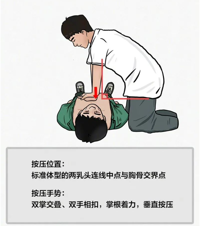 cpr按压板怎么用学会心肺复苏术，关键时刻能救命_https://www.jmylbn.com_新闻资讯_第10张