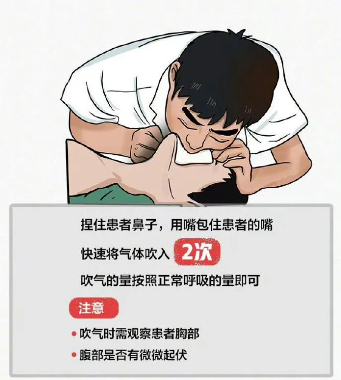 cpr按压板怎么用学会心肺复苏术，关键时刻能救命_https://www.jmylbn.com_新闻资讯_第13张