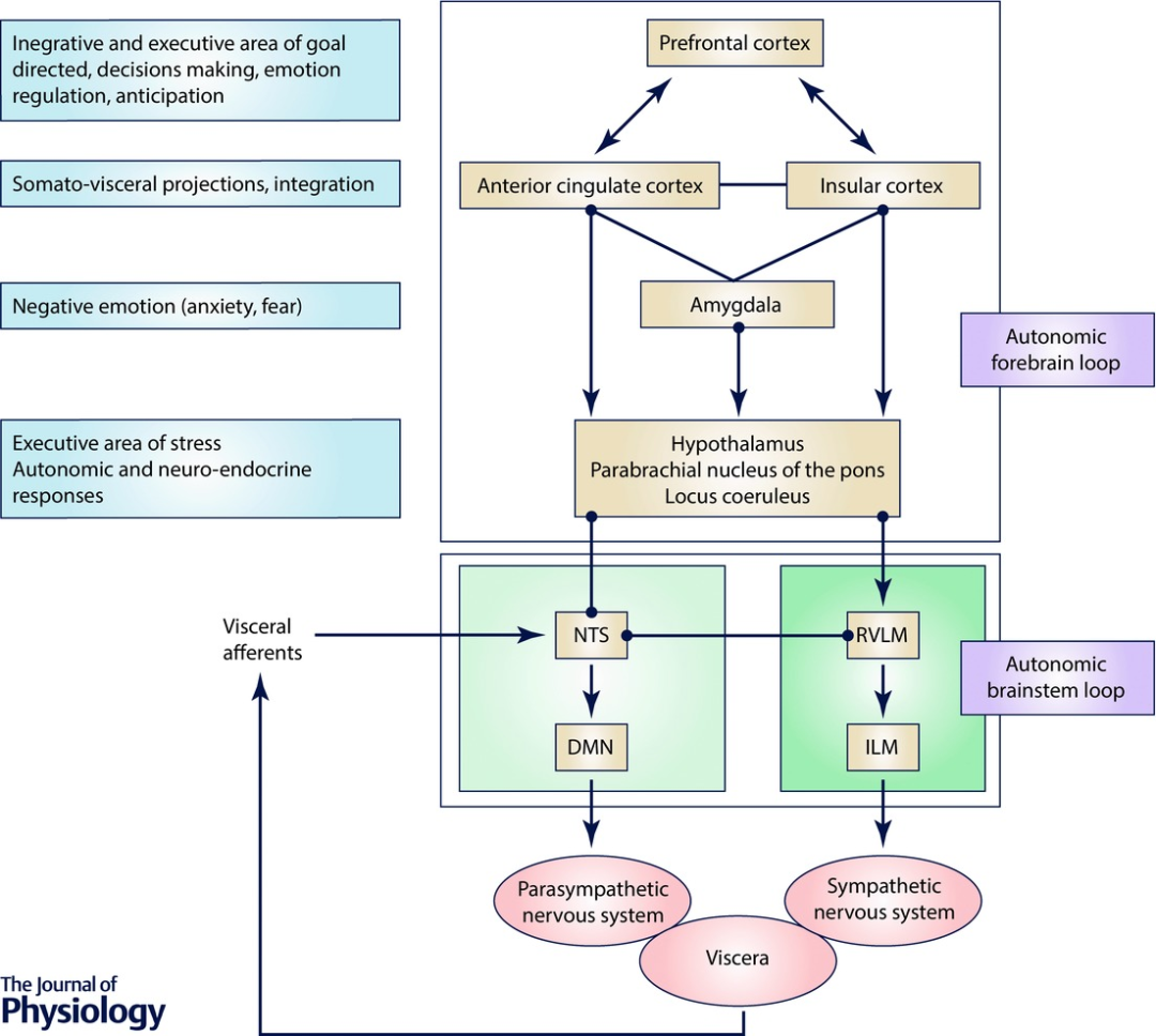 详细信息在图像后面的标题中