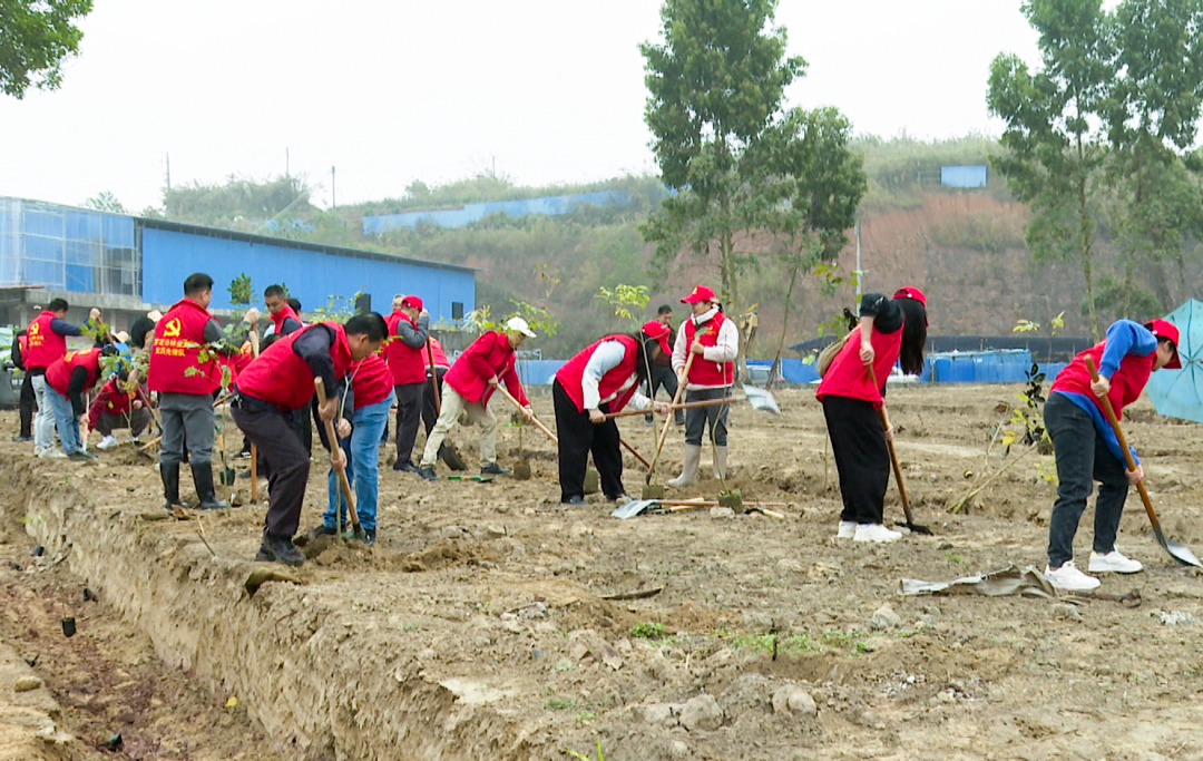春风催新绿植树正当时