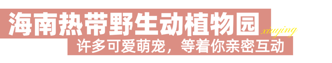 稿定设计-10.png