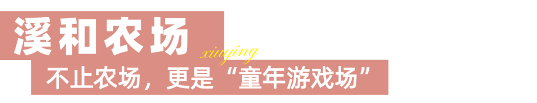 稿定设计-7.png
