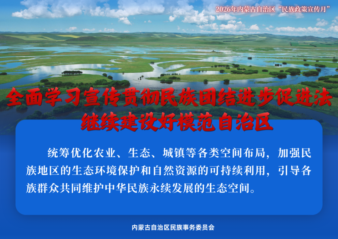 民族政策宣传月 | 2026年内蒙古“民族政策宣传月”海报来了 ！ 第15张