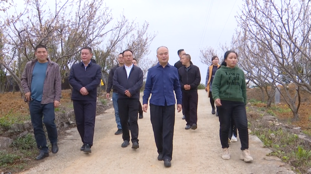 刘华到普坪镇调研