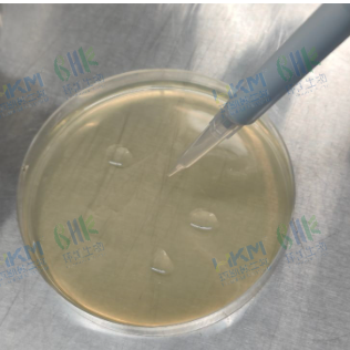 將0.1mL菌液均勻接種到待檢培養(yǎng)基（或其他待檢品）