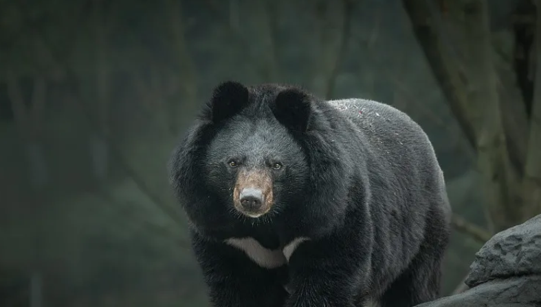 资料图。图源：人民日报