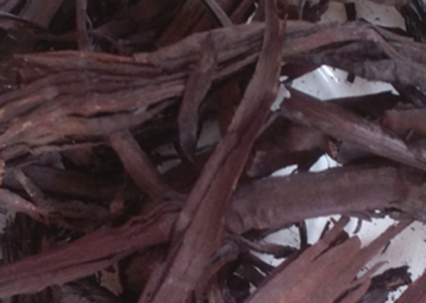 中医治疗湿疹的中药有哪些，8大治湿疹的特效中药