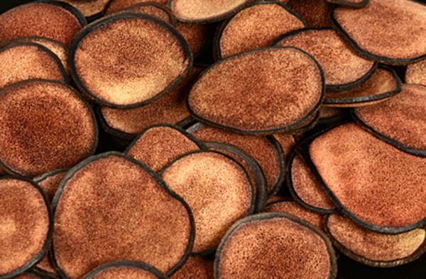 8种最好的补肾中药配方大全