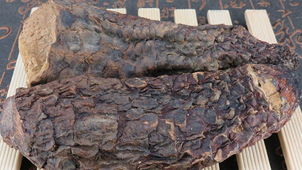 最好补肾的8种中药