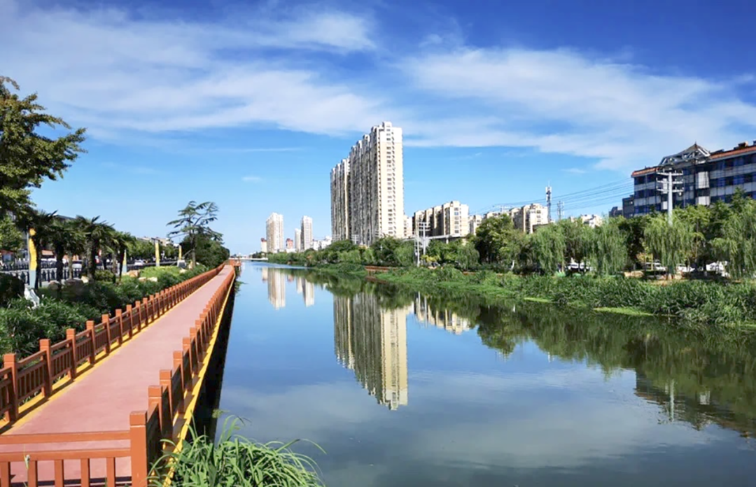 江苏射阳:北纬33°"绿"意浓, 奏响"生态蝶变"交响曲-盐城新闻网