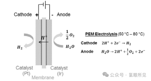 中型PEM制氫系統BOP設計、優化、仿真