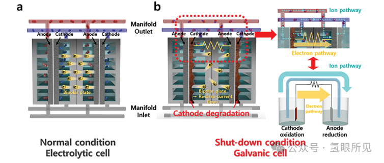 堿性電解槽中的逆電流成因