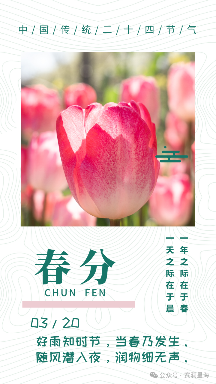 伴着春风，赛润的荣誉又添一枚 第5张
