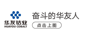 华友钴业入选“一带一路”最佳实践案例！