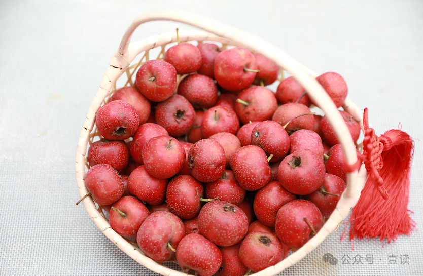 图源：图虫创意