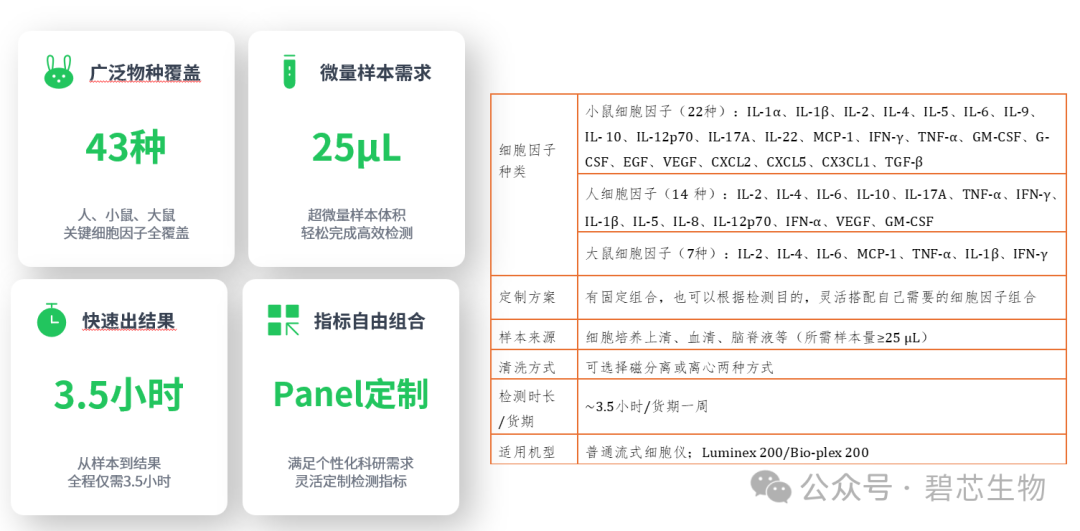 芯技术・新合作｜碧芯生物邀您相约广州 CLSC 2026