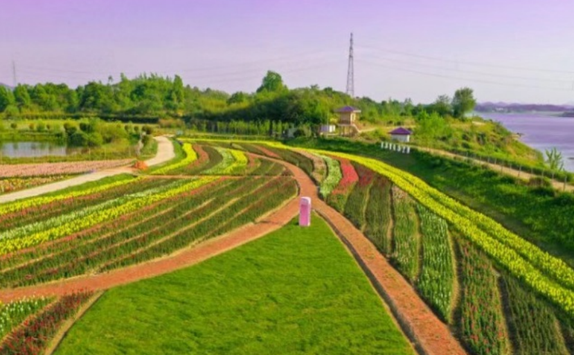 黄石网络大v浠水行走进花涧谷感受田园好风光