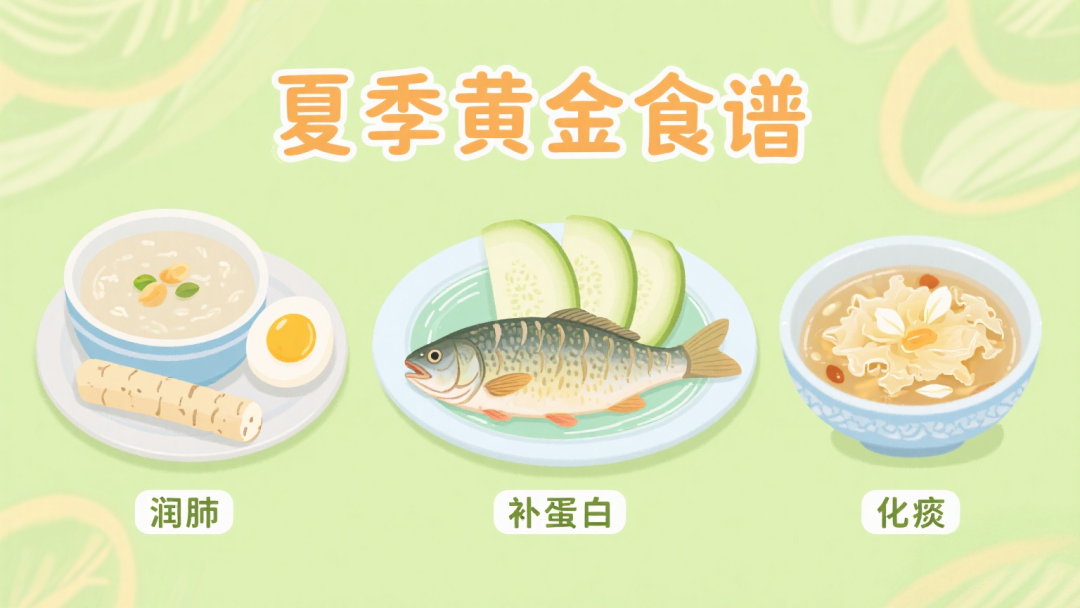 为什么到了夏天慢阻肺更厉害夏日“护肺”指南：慢阻肺患者安稳度夏秘籍_https://www.jmylbn.com_新闻资讯_第8张