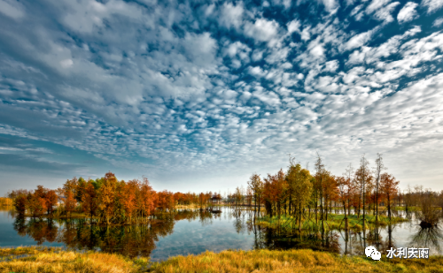 朱喜：治理平原河网水污染净化河水提升水质