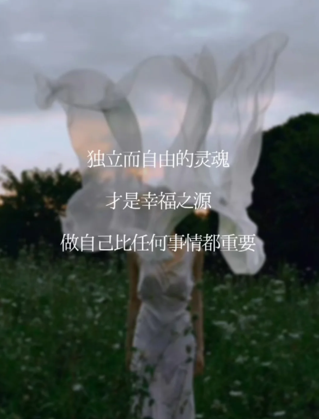 25句妇女节经典文案明媚且温柔