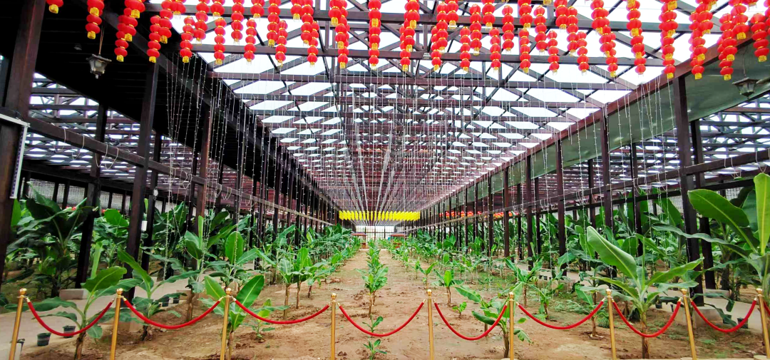 大名植物王国基地入口.png