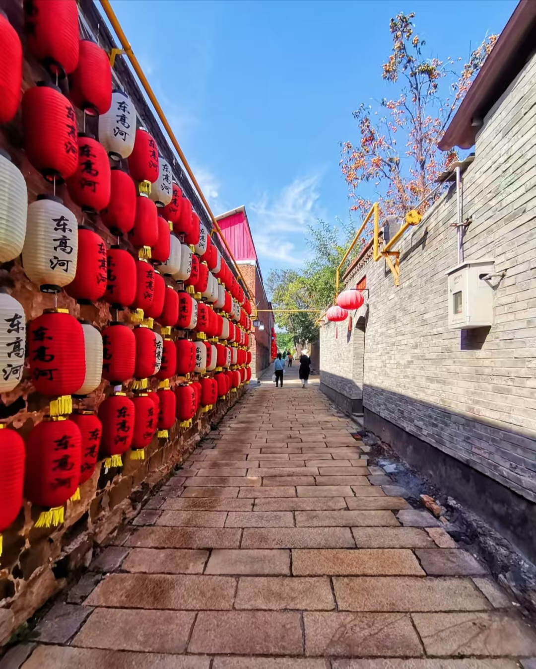 复兴区东高河5.png