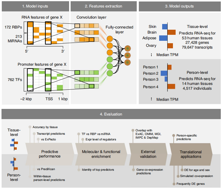 深度学习：AI基因组学｜1月精讲