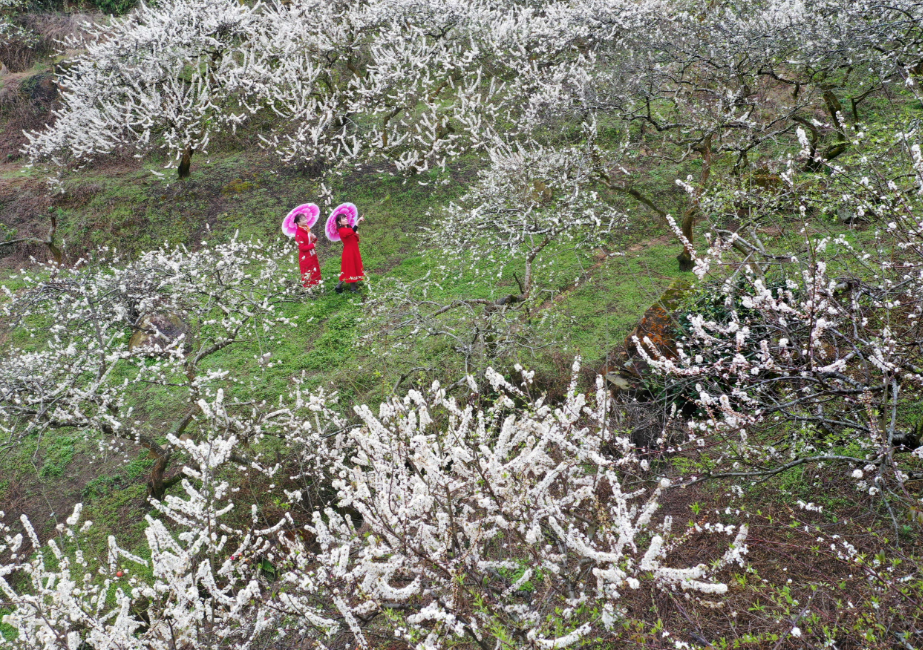 △肇庆市融媒体中心记者 朱梦丹 摄