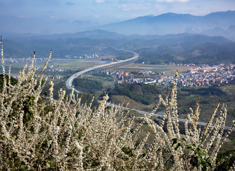 △肇庆市融媒体中心记者 朱梦丹 摄