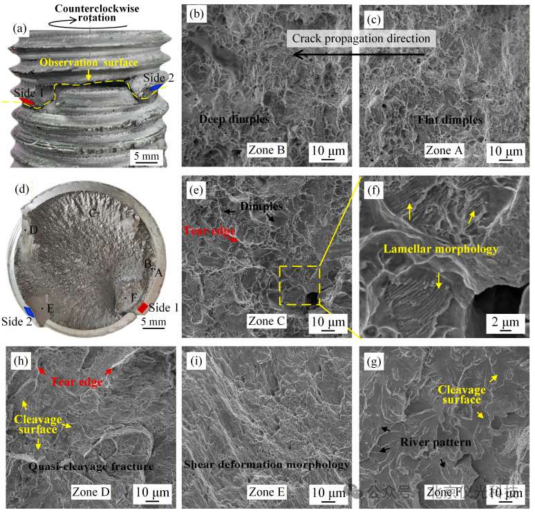 直击工业心脏！看泽攸ZEM台式电镜如何破解电机螺钉断裂的“微观密码