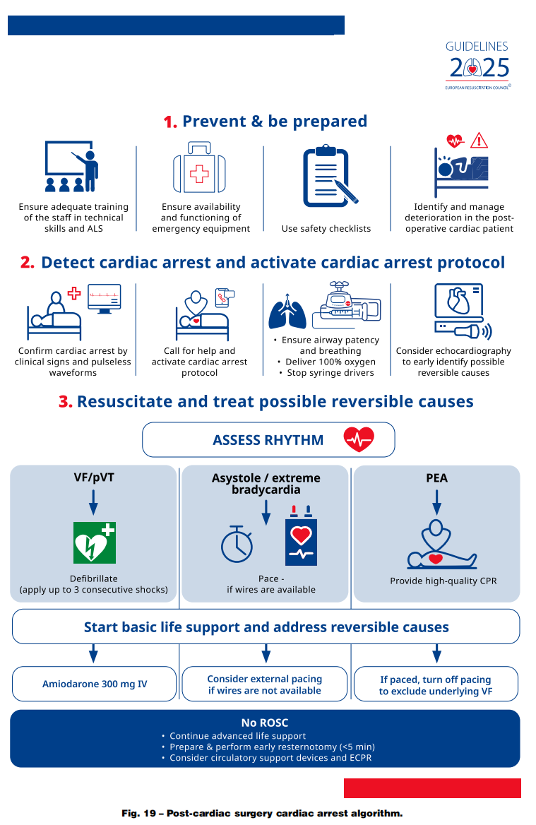 成人喉镜怎么做2025年欧洲复苏委员会心肺复苏指南（上）_https://www.jmylbn.com_新闻资讯_第23张