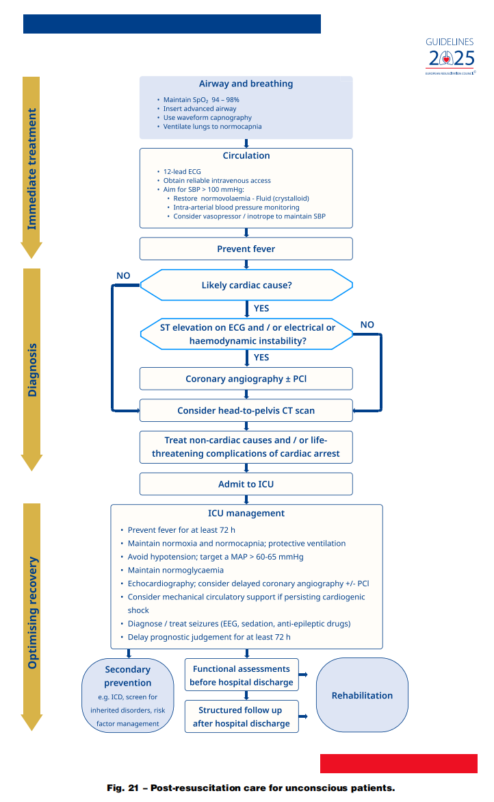 成人喉镜怎么做2025年欧洲复苏委员会心肺复苏指南（上）_https://www.jmylbn.com_新闻资讯_第25张
