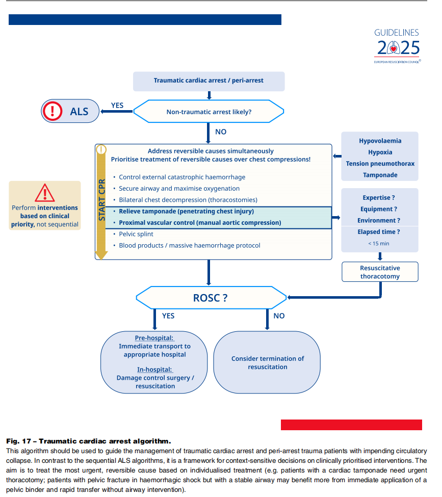成人喉镜怎么做2025年欧洲复苏委员会心肺复苏指南（上）_https://www.jmylbn.com_新闻资讯_第21张