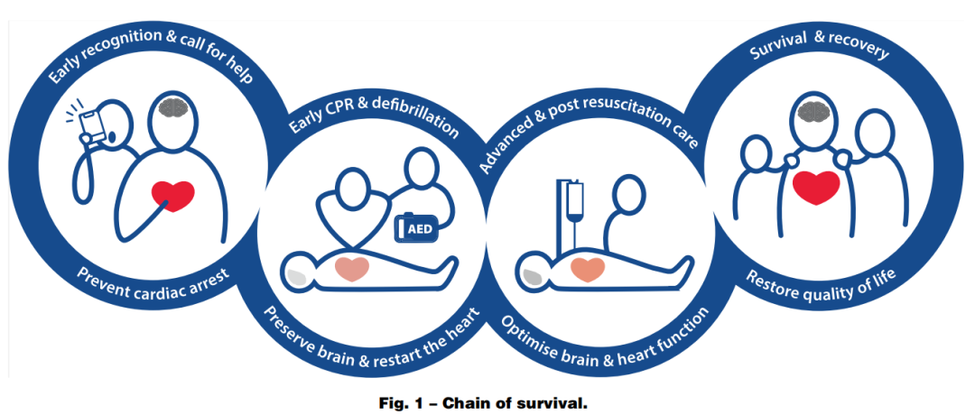 成人喉镜怎么做2025年欧洲复苏委员会心肺复苏指南（上）_https://www.jmylbn.com_新闻资讯_第3张