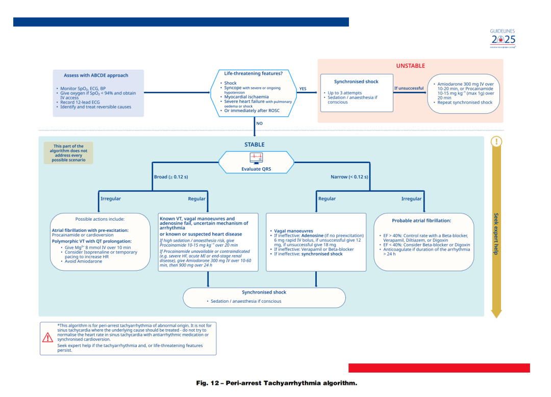 成人喉镜怎么做2025年欧洲复苏委员会心肺复苏指南（上）_https://www.jmylbn.com_新闻资讯_第16张