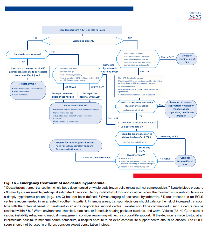 成人喉镜怎么做2025年欧洲复苏委员会心肺复苏指南（上）_https://www.jmylbn.com_新闻资讯_第20张