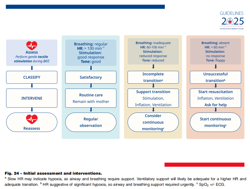 成人喉镜怎么做2025年欧洲复苏委员会心肺复苏指南（上）_https://www.jmylbn.com_新闻资讯_第28张