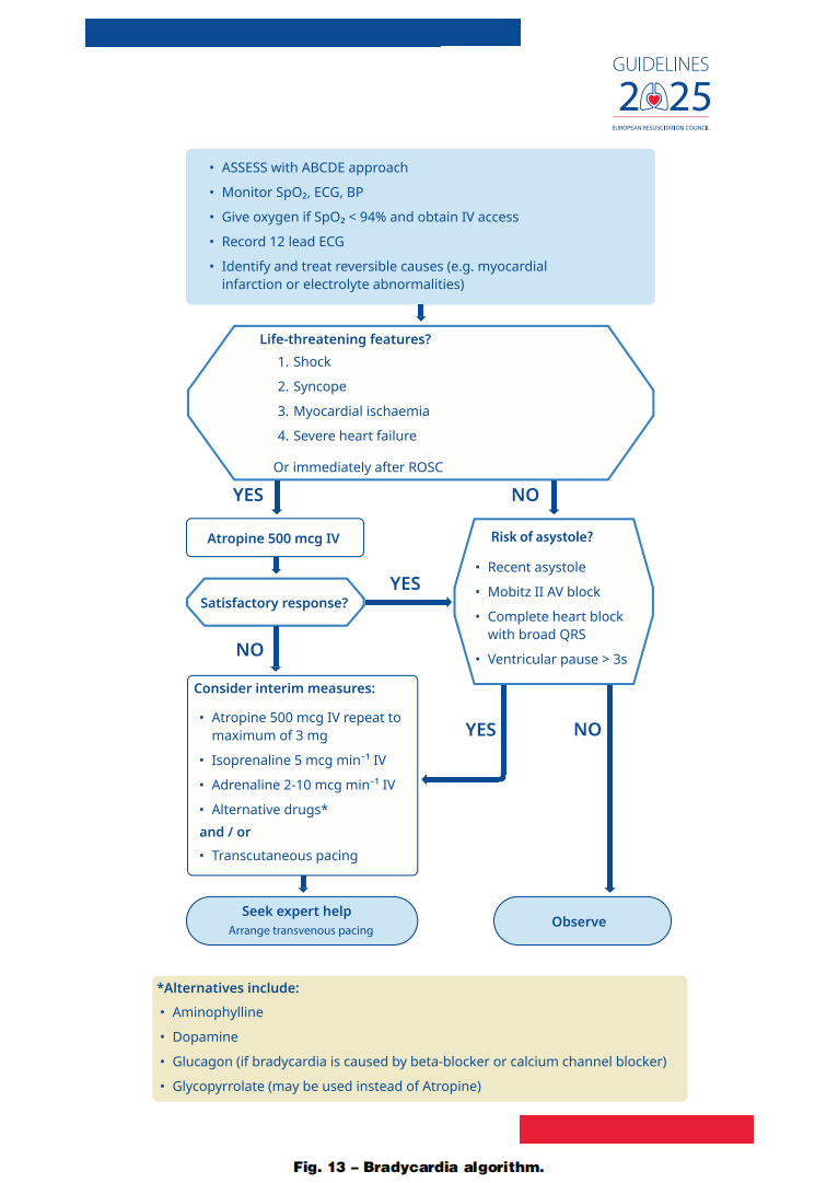 成人喉镜怎么做2025年欧洲复苏委员会心肺复苏指南（上）_https://www.jmylbn.com_新闻资讯_第17张