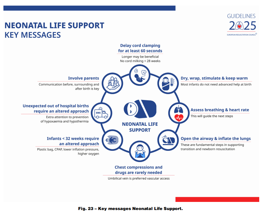 成人喉镜怎么做2025年欧洲复苏委员会心肺复苏指南（上）_https://www.jmylbn.com_新闻资讯_第27张