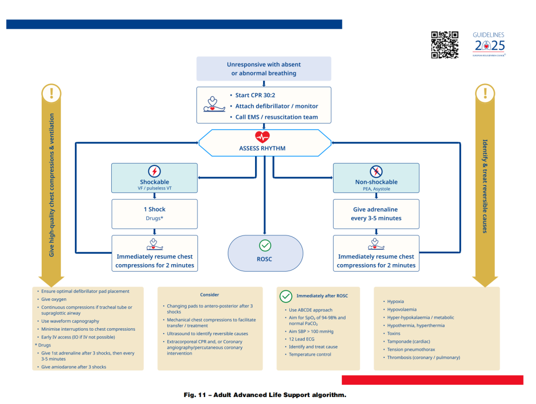 成人喉镜怎么做2025年欧洲复苏委员会心肺复苏指南（上）_https://www.jmylbn.com_新闻资讯_第15张