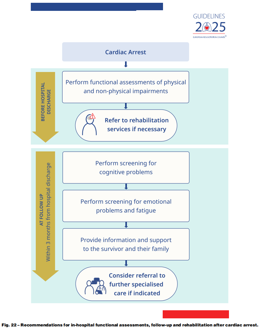 成人喉镜怎么做2025年欧洲复苏委员会心肺复苏指南（上）_https://www.jmylbn.com_新闻资讯_第26张