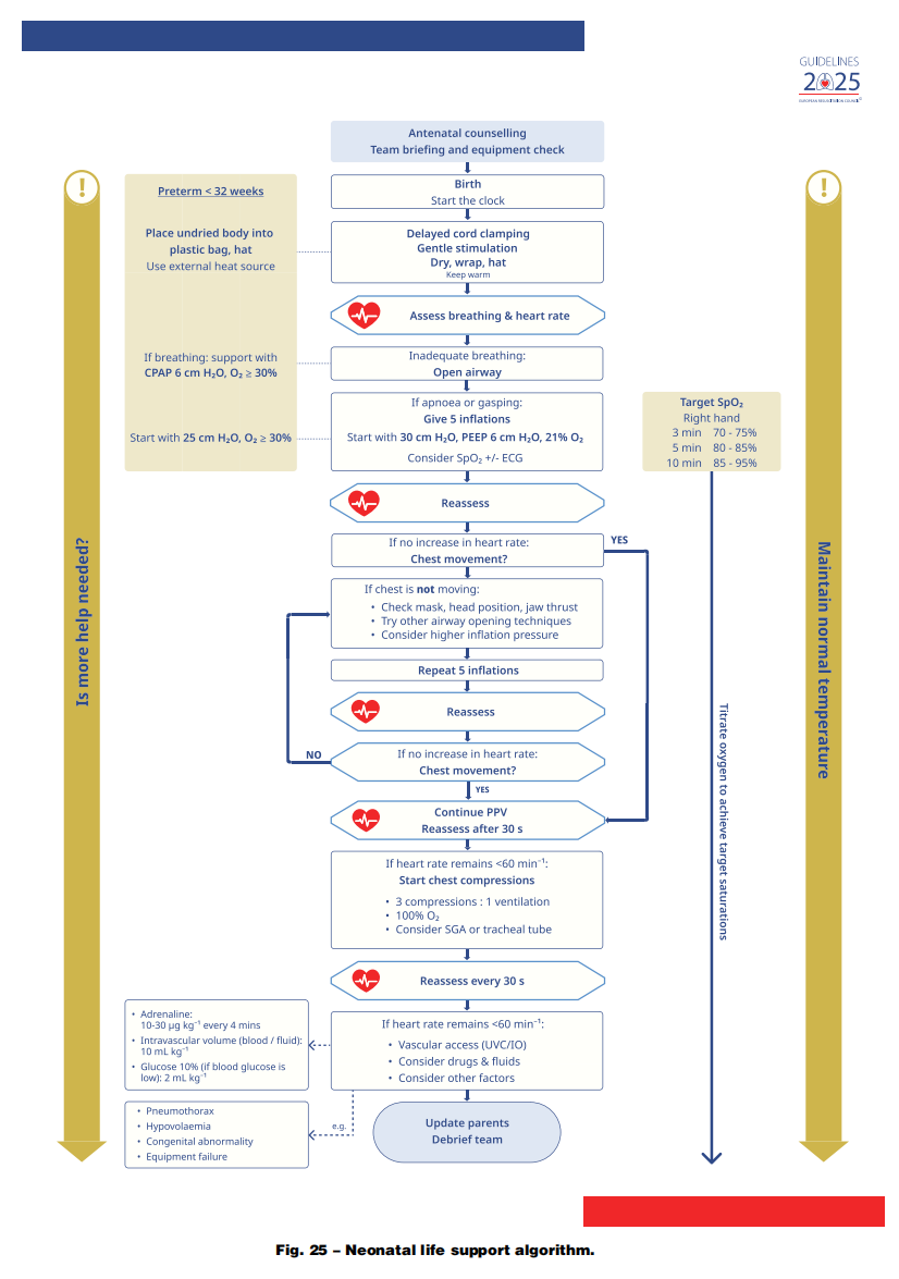 成人喉镜怎么做2025年欧洲复苏委员会心肺复苏指南（上）_https://www.jmylbn.com_新闻资讯_第29张