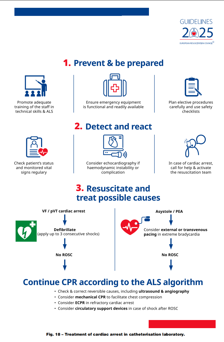 成人喉镜怎么做2025年欧洲复苏委员会心肺复苏指南（上）_https://www.jmylbn.com_新闻资讯_第22张