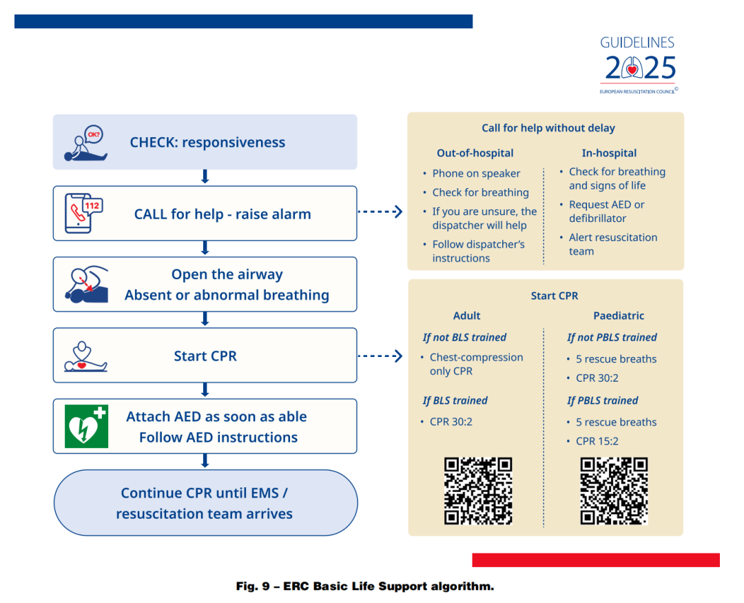 成人喉镜怎么做2025年欧洲复苏委员会心肺复苏指南（上）_https://www.jmylbn.com_新闻资讯_第13张