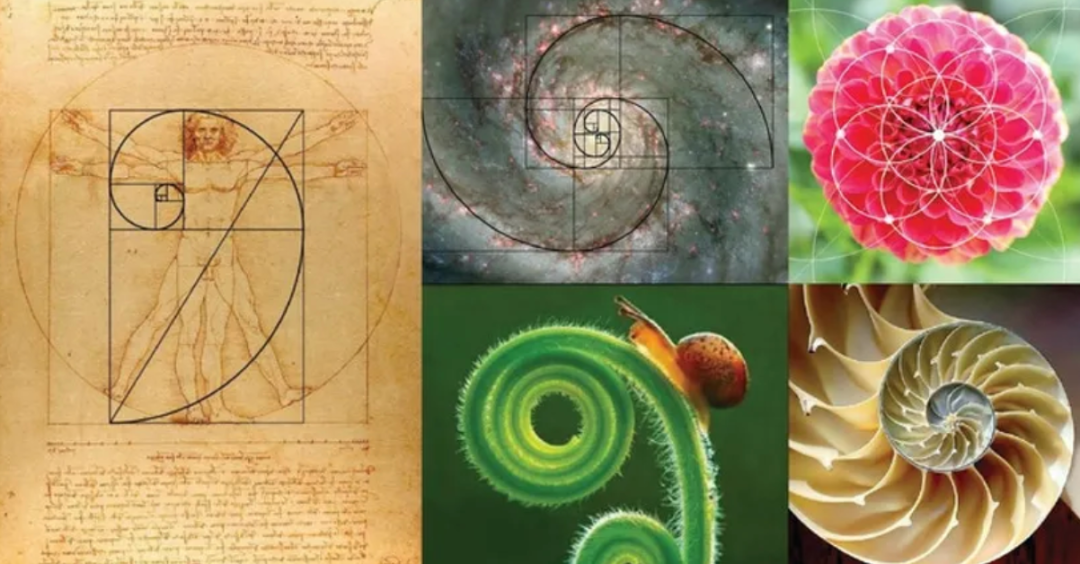 生灵包括动物吗_生物有灵性_世间生物都有灵