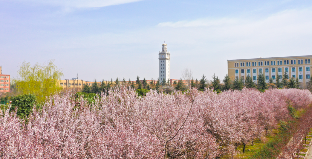 西北大学现代学院代码查询_西北大学现代学院的代码_西北大学现代学院代码