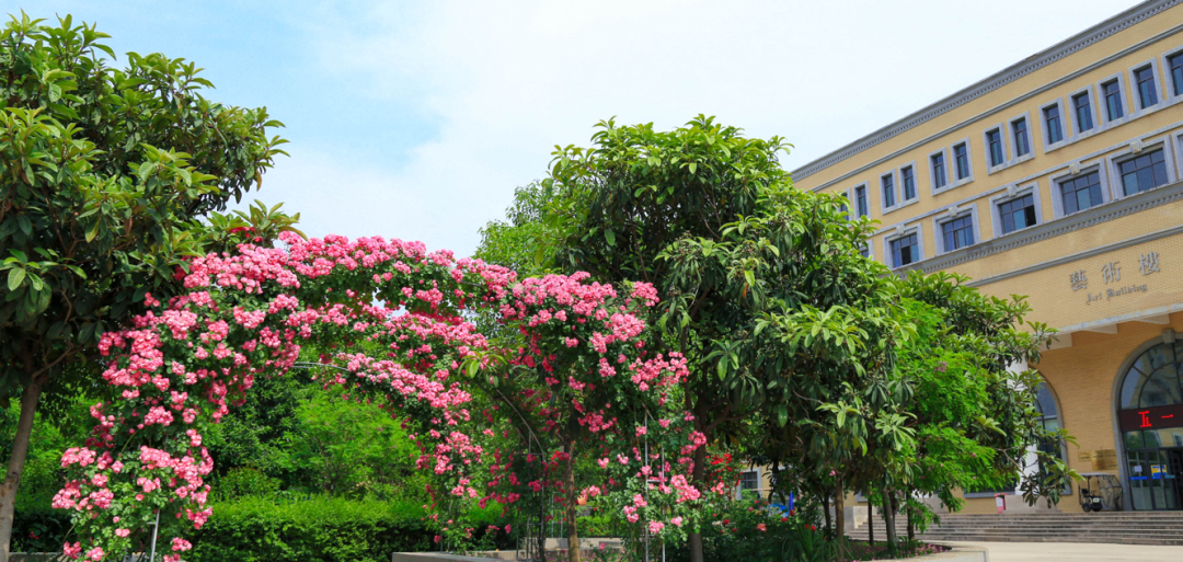 西北大學(xué)現(xiàn)代學(xué)院代碼_西北大學(xué)現(xiàn)代學(xué)院的代碼_西北大學(xué)現(xiàn)代學(xué)院代碼查詢