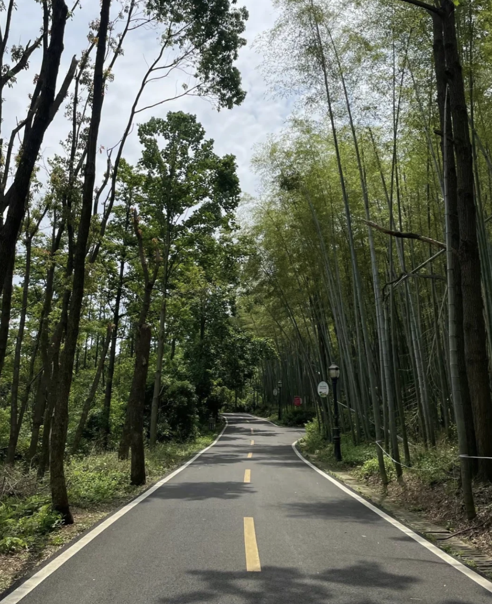 潜山国家森林公园地处湖北省咸宁市委,市政府所在地温泉镇.